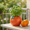 Vaso decorativo mediterrâneo laranja vaso de cerâmica Ø9cm | Floristik24.pt