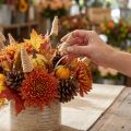 Cone de cana natural 25 unidades | Floristik24.pt