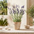Arbusto lilás artificial roxo 51 cm | Floristik24.pt