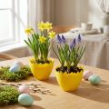 Copos para ovos Ø17cm 20 unidades amarelo | Floristik24.pt