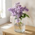 Vaso de vidro transparente cilíndrico Ø12cm H20cm | Floristik24.pt