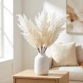 Capim-dos-pampas branco, grama artificial seca, plantas artificiais | Floristik24.pt