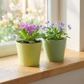 Pote de papel, mini vaso de plantas, cachepot azul/verde Ø9cm H7.5cm 4pcs | Floristik24.pt