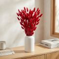 Grama Rabo de Coelho (Lagurus) Seca Vermelha 60cm 50g Decoração de Flor Seca | Floristik24.pt
