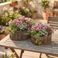 Caixa de planta vaso de flores casca de madeira L23/29,5 cm conjunto de 2 | Floristik24.pt