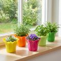 Plantador para vasos de plantas, coloridos variados. Ø10,5cm 10 peças | Floristik24.pt