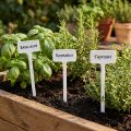 Etiqueta de planta para troca de 32 cm 10 unidades | Floristik24.pt