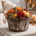 Vaso de flores redondo em casca de bétula com trepadeiras, Ø33cm, A16cm, decorativo | Floristik24.pt