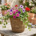 Cesto para plantador de trepadeiras Ø25cm A22,5cm, vaso natural | Floristik24.pt
