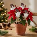 Plugue de flores presente de gnomo de Natal 6x7cm 12 unidades | Floristik24.pt