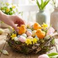Pintinhos de Páscoa em miniatura, com plumas amarelas e laranjas, 4,5 cm de altura, 18 peças. | Floristik24.pt