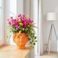 Cabeça de planta Busto Vaso de planta Laranja 13,5×13×14cm | Floristik24.pt