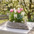 Planta coração planta tigela rattan coração branco natural 28x34cm | Floristik24.pt