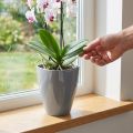 Vaso de orquídea brilhante Ø12,5cm cinza 1ud | Floristik24.pt