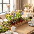 Bandeja decorativa, bandeja retangular de madeira com alças em faia 50×19,5cm | Floristik24.pt