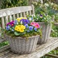 Cesto vintage de vime para plantas, Ø25 cm, A21 cm, cinza/branco, conjunto de 2 | Floristik24.pt