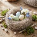 Fibras de palmeira naturais, lavadas e brancas, 1 kg, para decoração e artesanato. | Floristik24.pt