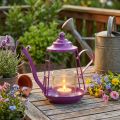 Porta-velas lanterna de vidro bule rosa Ø13cm Alt.22cm | Floristik24.pt