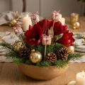 Plugue de flor pacote de presente de Natal decoração 2,5cm 15 un | Floristik24.pt