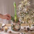Lanterna decorativa para vaso de vidro transparente Ø18cm Alt.20cm | Floristik24.pt