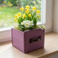 Gaveta de plantas caixa de plantas decorativas de madeira roxa 12,5 cm | Floristik24.pt