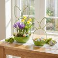 Vaso em forma de coelho para decoração de primavera e Páscoa, sala de estar, cozinha, jardim, 33 cm | Floristik24.pt