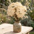 Creme artificial de mil-folhas Achillea flores artificiais 30cm 6 peças | Floristik24.pt