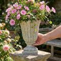 Vaso para plantas em pedra fundida, estilo antigo, cinza, Ø17,5cm, altura 25cm | Floristik24.pt