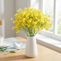 Gypsophila paniculate erva de gesso flores amarelas C46cm 4 un | Floristik24.pt