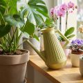 Regador de interior, verde-oliva, estilo retrô, 24,5 cm, 1,8 L, regador de design, plástico, para regar plantas. | Floristik24.pt