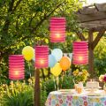 Lampion Train Lanterna Rosa Ø10cm H13cm 8pcs | Floristik24.pt