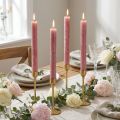 Velas cônicas cor sólida rosa velho 34 mm x 300 mm 4 unidades | Floristik24.pt