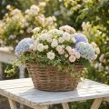 Cesto para plantas, estilo shabby chic, branco natural, 14 cm de altura x 30 cm de diâmetro com alças, decoração vintage. | Floristik24.pt