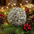 Decoração de natal Bola de neve branca de natal Ø10cm | Floristik24.pt