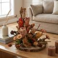Cones secos de Protea exótica Bellgum 24–48cm 580g - Decoração floral artificial África do Sul | Floristik24.pt