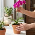Suporte para plantas, estaca para flores, estaca para orquídeas, Twister verde, 38 cm | Floristik24.pt