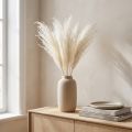 Flores secas, capim prateado. Decoração natural elegante para casa e escritório. 70 cm, 10 peças. | Floristik24.pt