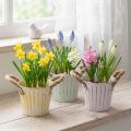 Balde para plantas, vaso de metal com alças, floreira decorativa, rosa/verde/amarelo, estilo shabby chic, Ø12cm, A10cm, conjunto de 3 | Floristik24.pt