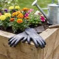 Luvas de jardinagem tamanho 8 EN 2121X cinza preto azul nylon | Floristik24.pt