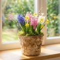 Vaso redondo, decoração natural, casca de árvore, vaso de bétula, Ø12cm A10cm, 5 peças | Floristik24.pt