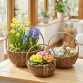 Conjunto de 3 cestos de vime, cores naturais com alças, cestos vintage para plantas Ø32/28/22cm, cesto decorativo, cesto para presente, cesto de Páscoa | Floristik24.pt