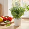 Menta verde artificial 25 cm 12 unidades | Floristik24.pt