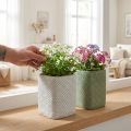 Plantador de cerâmica branco verde malha relevo 12x12cm H17.5cm 2pcs | Floristik24.pt