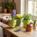 Cachepot de papel, plantador, vaso para plantar azul/verde Ø13cm H12.5cm 4pcs | Floristik24.pt