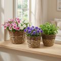 Cesto natural para plantação, decoração de cestos, vasos de plantas naturais L21/19/16cm H21/19/16cm conjunto de 3 | Floristik24.pt