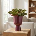 Vaso de flores em formato de taça, estilo moderno, decorativo para qualquer casa ou escritório, 23 cm | Floristik24.pt