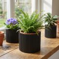 Vaso de papel preto Ø19cm H14cm 3 peças | Floristik24.pt