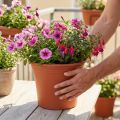 Pote “Irys” plástico terracota Ø29cm Alt.24cm 1ud | Floristik24.pt