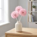 Flores secas gigantes de dente-de-leão, decoração elegante para casa, 12 cm, 4 peças | Floristik24.pt