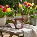 Lanterna de vidro decorativo regador metal vermelho Ø14cm Alt.13cm | Floristik24.pt